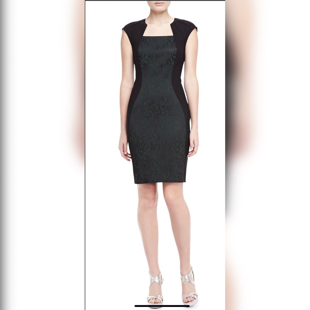Elie Tahari
Aiden Animal-Print Jacquard Dress (size 4 US)